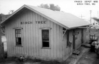 Frisco Depot Birch Tree, Mo 1955.jpg
