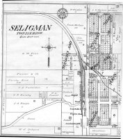 Seligman-Big.jpg