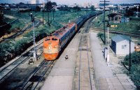 SLSF 2002 at Tower Grove.jpg