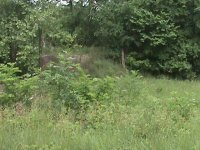 SLSF grade south of osceola on old Humansville Rd NE471.JPG