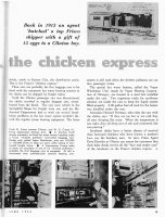 chicken express 2.jpg