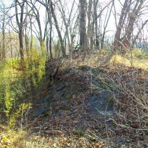 The start of the west end of the bridge.  It appears to have been reinforced with concrete or some other material (visible in foreground) to prevent t