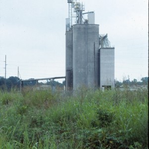 Springdale, Arkansas -  July, 1989 - Looking South