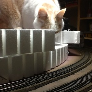 Catzilla inspects the track work on section 3 (lower level).