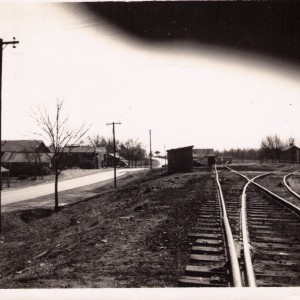 Seligman MO
