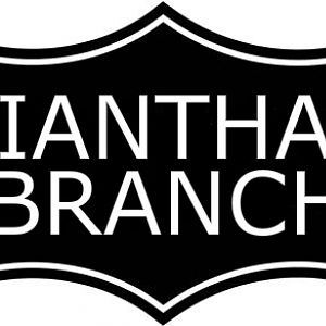 Iantha Branch Coonskin