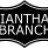 Iantha_Branch