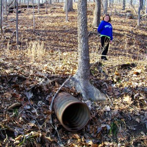 Old drainage tube under the right of way just north of Big Spring on the Puxico line. Tracks removed around 1938.  (looking northwest toward Chicopee)