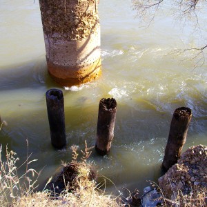 Old trestle bent next to the first set of concrete pillars.  West side of the Current River.