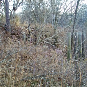 Near Low Wassie.  I believe this was just west of town.  The rock abutment and some of the trestle can still be seen here.  (looking south southeast).