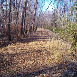 Right of way north of Big Spring.  This is the curve going to Chicopee approximately a mile north of here.  (looking northeast)