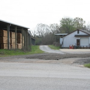 Looking south towards Aliceville in Carrollton, AL