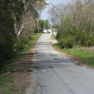 Looking north towards Reform in Carrollton, AL