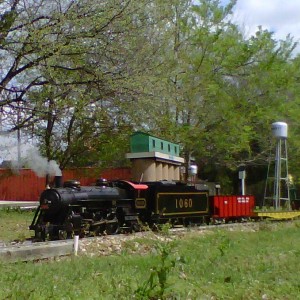 Live steam