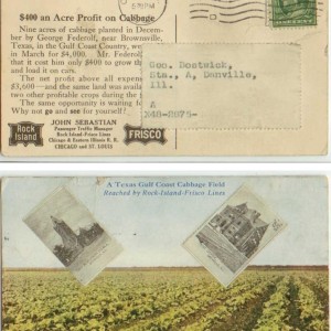 Postcard Cabbage Field