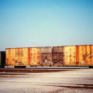 SL-SF #9104