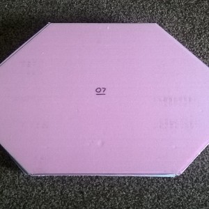 Module 07 with pink 1 inch foam attached