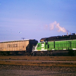 PICT8-1995 (22)