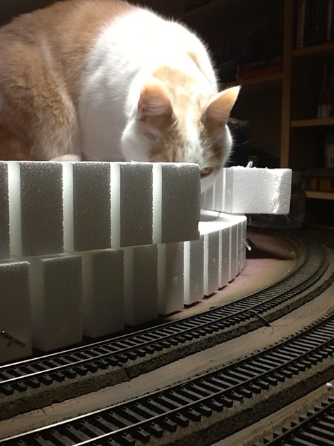 Catzilla inspects the track work on section 3 (lower level).