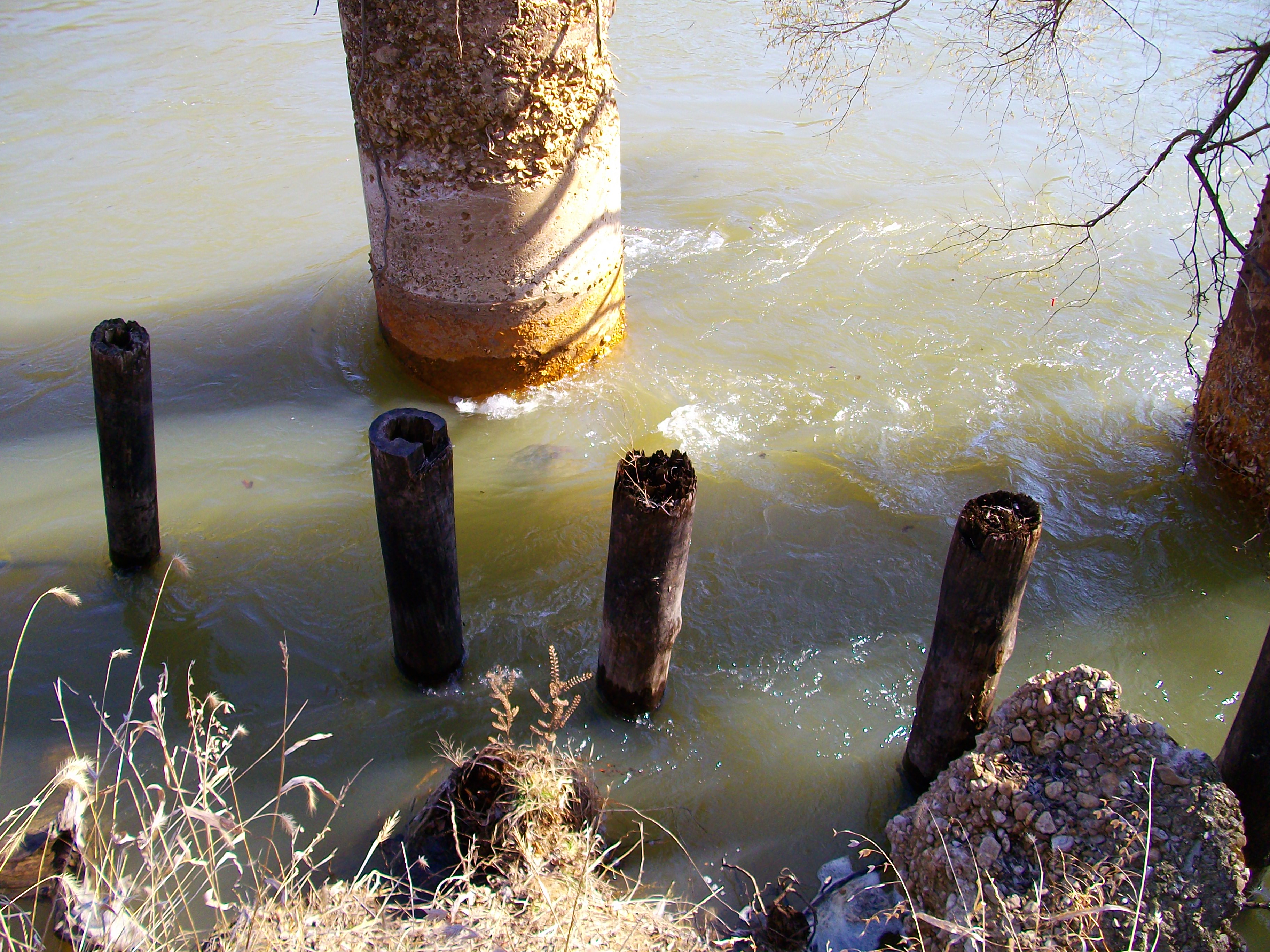 Old trestle bent next to the first set of concrete pillars.  West side of the Current River.